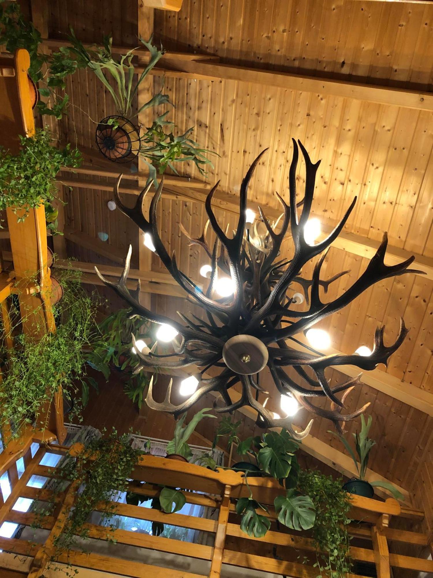 Tiszafa Vendeghaz Szentgal Hotel Bagian luar foto