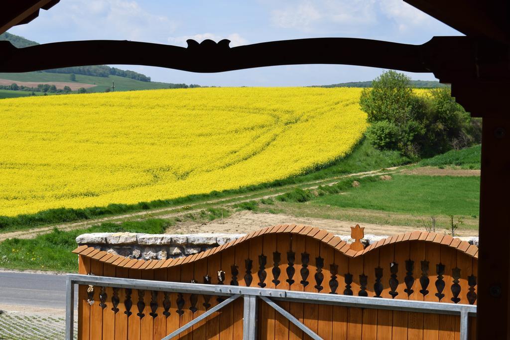 Tiszafa Vendeghaz Szentgal Hotel Bagian luar foto